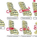 기전공원 이미지