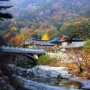 인동농업협동조합주유소 이미지