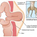 어울동물의료센터 이미지