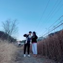 쿠잉풀빌라앤스파펜션 이미지