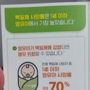 (주)루루