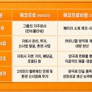 (주)에코프로에이피(3공장) | 에코프로비엠(247540) 에코프로(086520) 특징 전망 에코 2차 연료전지 자회사