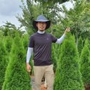 에메랄드그린 이미지