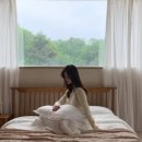 스테이캄드 네이버블로그