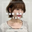 홍대/연남동 미용실 TAN(탄) 여자단발 헤어스타일 추천