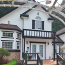 대명노르웨이숲 이미지