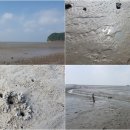 서도초등학교 볼음분교 이미지