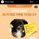 까까언니