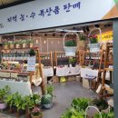 코레일유통대화역