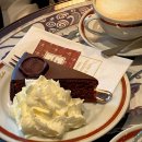 카페(Cafe)이레 | 오스트리아 잘츠부르크카페 &#39;카페자허(cafe sacher)&#39; 자허토르테케이크 디저트맛집, 젤라또가 맛있는...