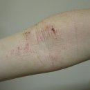 정발산경희한의원 이미지