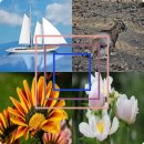 청운리경로당 이미지