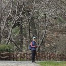 남파랑길 8코스 이미지