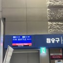 UR(포항시)-[불종로]-하-3 | ✈️인천-시애틀 하와이안 항공 후기를 쓰려했는데 아시아나 항공 후기를 쓰게된 것에 대하여 …