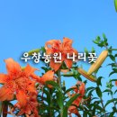 우창농장 이미지