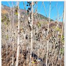 과반농장 이미지