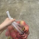 무어산 경로당 네이버블로그