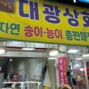 이천고려인삼 네이버블로그