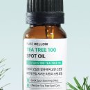 고른오일 이미지