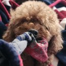 시흥대로59길 | 1월 넷째 주