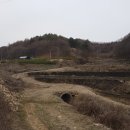 가자청주공인중개사사무소 이미지