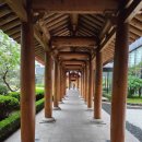 (주)부여집 | 부여롯데리조트 클린 스위트 더블(31평)방문 및 여행 간략 후기