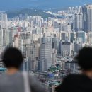 도시개발부동산중개 이미지