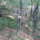 문산리 경로당 Daum카페