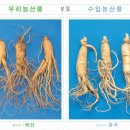 한국홍삼제조공사 이미지