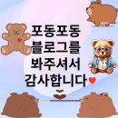 배달정음 영등포15점 | 구로 김치찜 배달 &#34;둘이서먹는1인분김치찜&#34; 후기