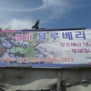 좋은소 농장 이미지