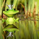 인문학으로 읽는 천자문 이미지
