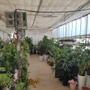 풍산농원 이미지