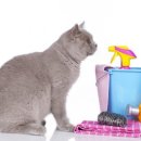 하남동물병원 이미지