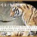 교훈글- 변장자호(卞莊刺虎) 이미지