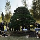 흙과소나무 이미지