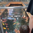 율하5로48 이미지