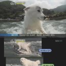 개야농장 이미지