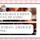 신반포중학교 이미지