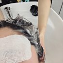 동원헤어샵 | 수원 미용실 추천 헤어다이아 수원역타임점 긴머리 레이어드컷 아윤채 클리닉 후기