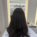 배경희미용실 | 영통역미용실 톤다운 염색 쿨브라운 후기 (4월 인기컬러)