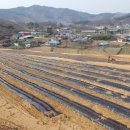 고려농원 이미지