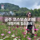까페개화1길 | 공주 카페 추천 힐스포레 코스모스, 공주 가볼만한곳 후기