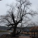 과선교버스정류장 이미지