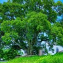 이종훈 서예 이미지