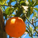 전인병원 이미지