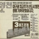 잠시 추억에 빠져보시죠~1991년 영천청구타운 광고들... 이미지