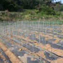 모두농장 이미지