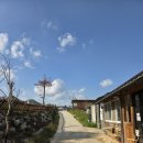 태백목장 | [태백] 몽토랑 산양목장 후기