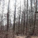 고려왕릉가는길 이미지